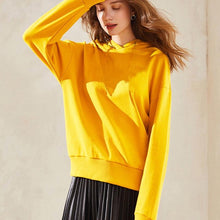 Load image into Gallery viewer, 2019 New Plus velvet Basic Hoodies For Women Leisure Female winter Solid Colour Casual SweatshirtHip Pop Tops