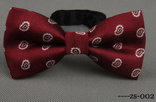 Load image into Gallery viewer, RBOCOTT Men's Bow Tie Gold Paisley Bowtie Business Wedding Bowknot Dot Blue And Black Bow Ties For Groom Party Accessories
